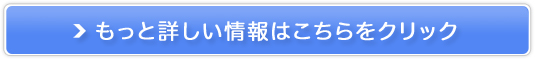 SΉIsvEꂽMac̏́yMacZ^[z̔TCg